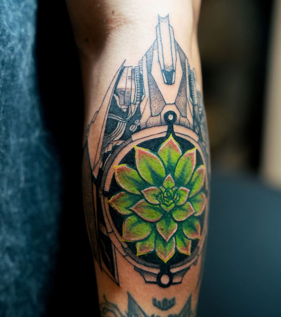Healed green succulent in an ornamental frame over an elbow, reworked over older colour