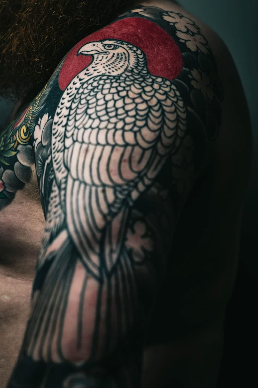 Healed traditional eagle with a red sun on a shoulder