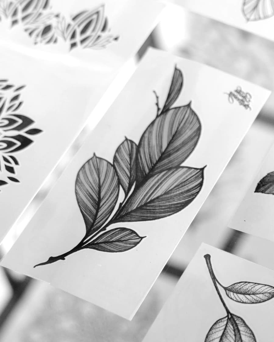 Flash drawing of a single leafy branch in fine line