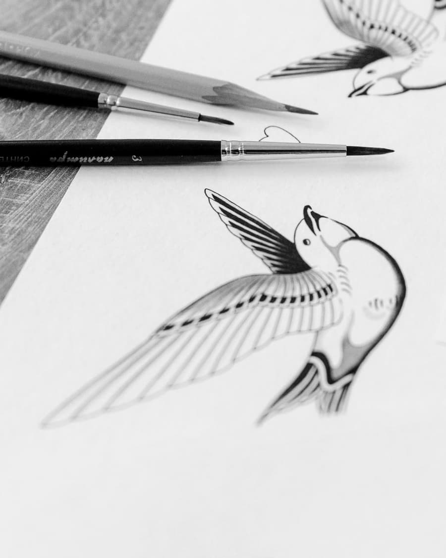 Flash drawing of a swallow diving with its wings swept back
