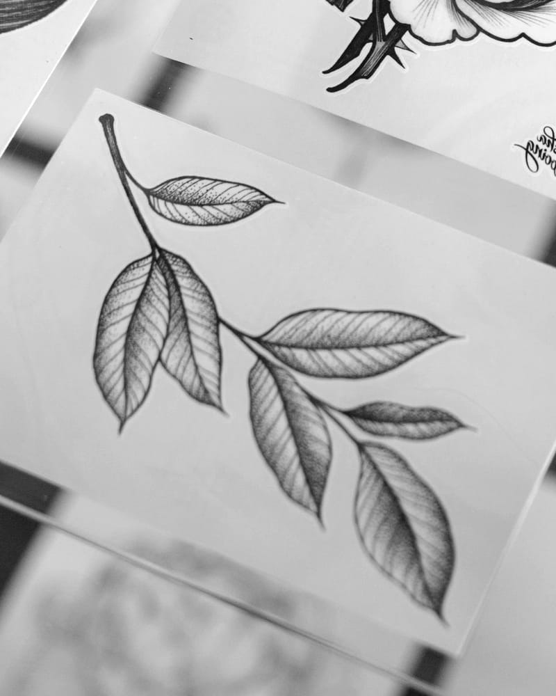 Retired flash drawing of a stem of long leaves